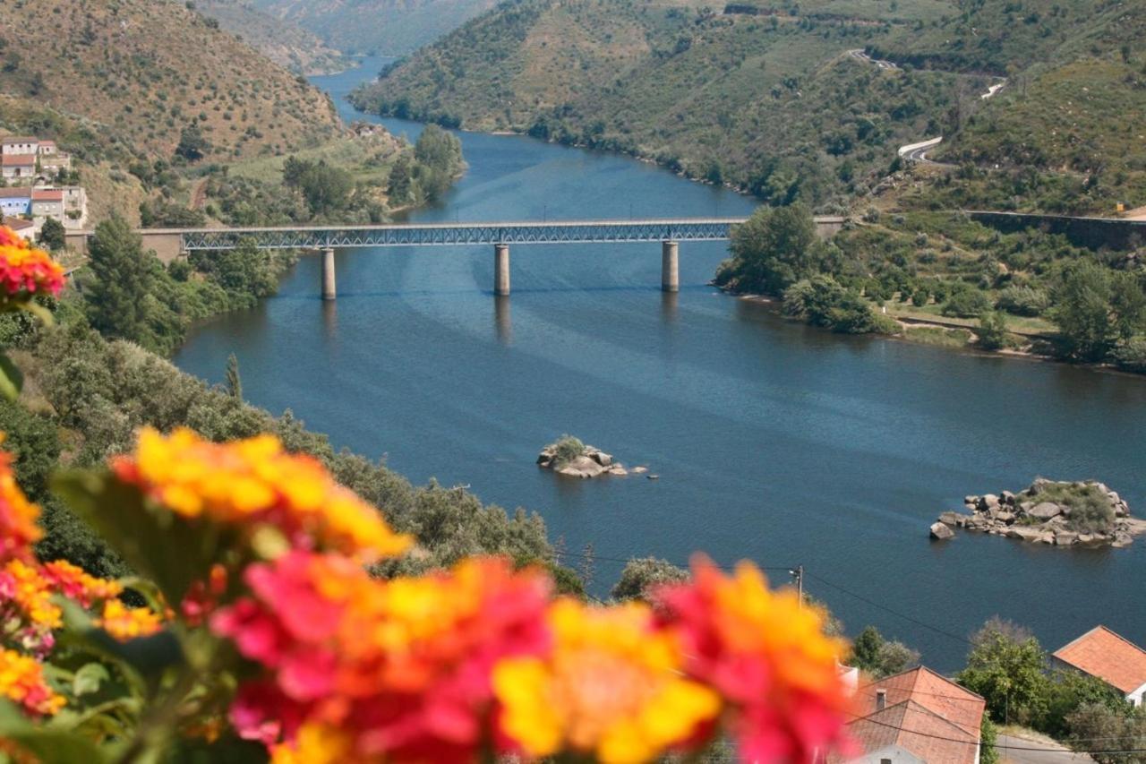 Quinta Do Belo-Ver Turismo De Habitacao Belver  Экстерьер фото